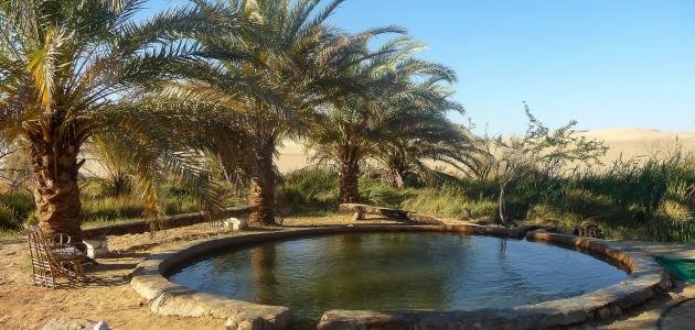 19_2023 638258965042741213 274